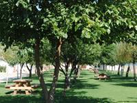 Jardín del recinto de San Sebastián